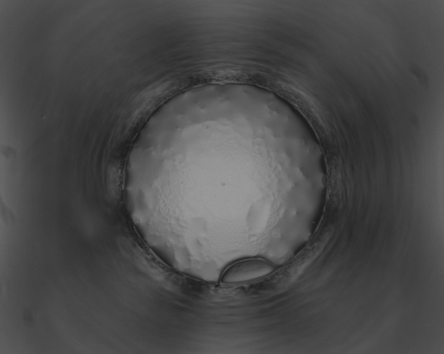 X0000090500189200708031217