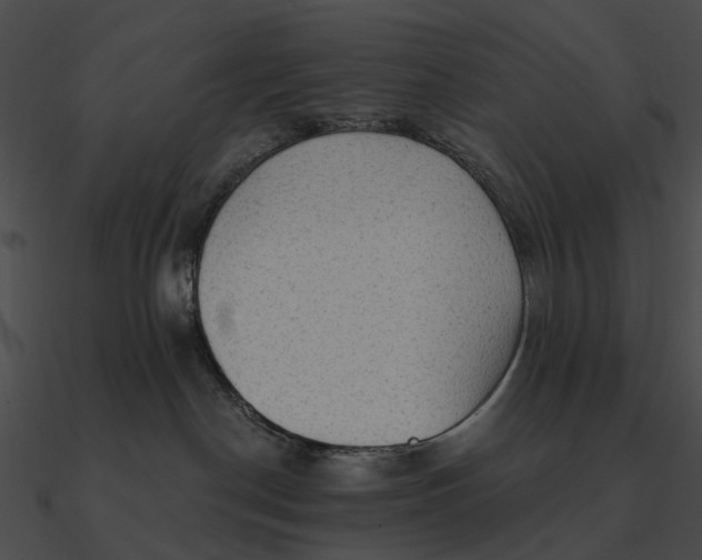 X0000090500190200708031217