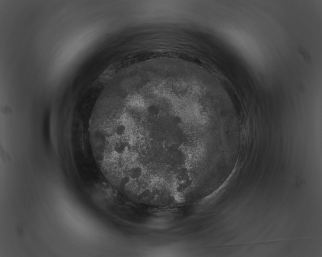 X0000090500191200708031217