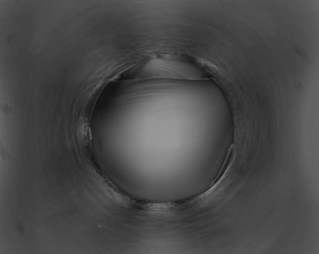 X0000090500192200708031217