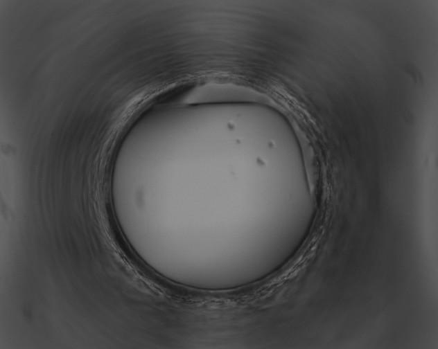 X0000090500193200708031216