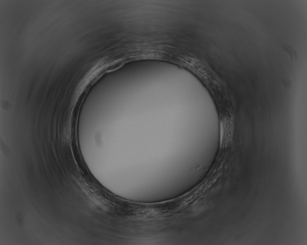 X0000090500195200708031216