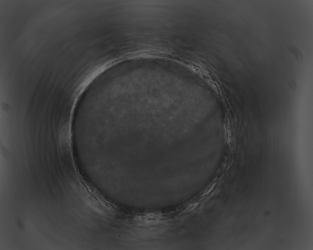 X0000090500196200708031216