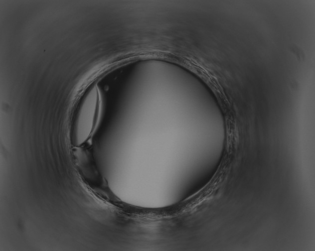 X0000090500197200708031216