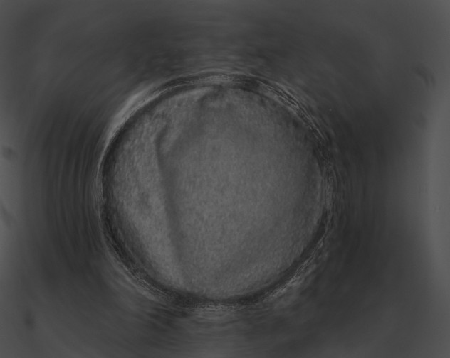 X0000090500198200708031216