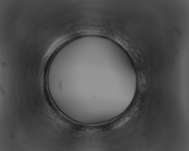 X0000090500199200708031216