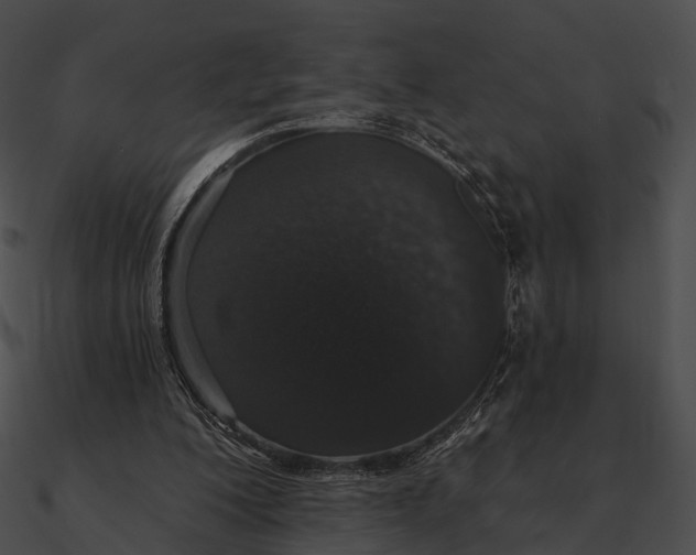 X0000090500200200708031216