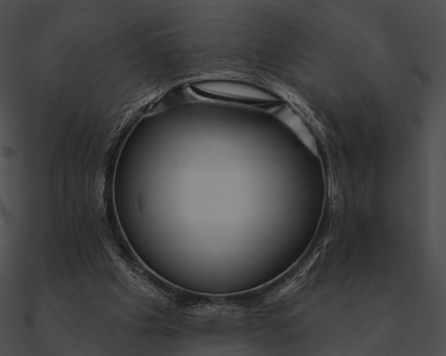 X0000090500201200708031216