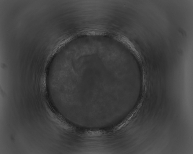 X0000090500202200708031216