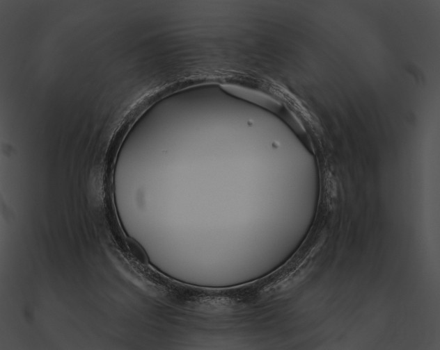 X0000090500203200708031216