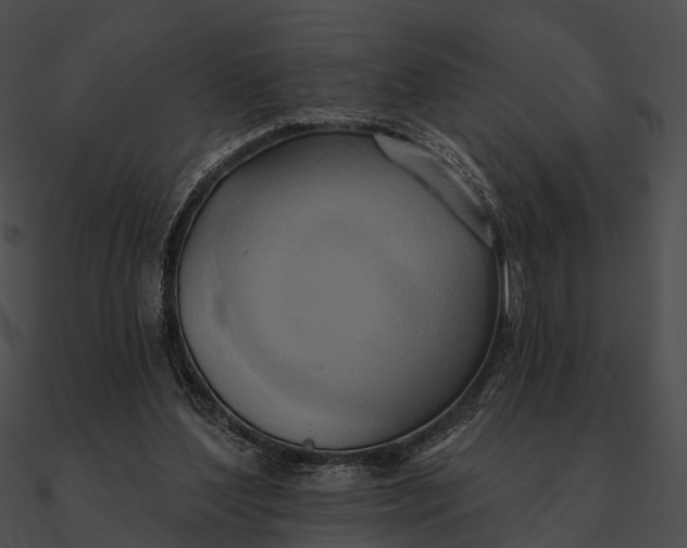 X0000090500204200708031216