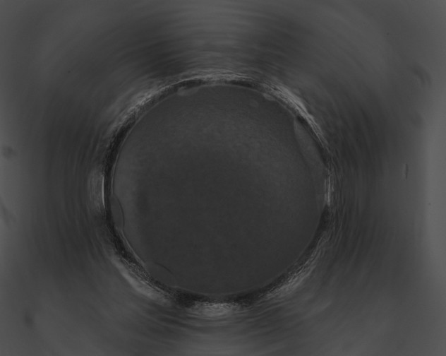 X0000090500205200708031216