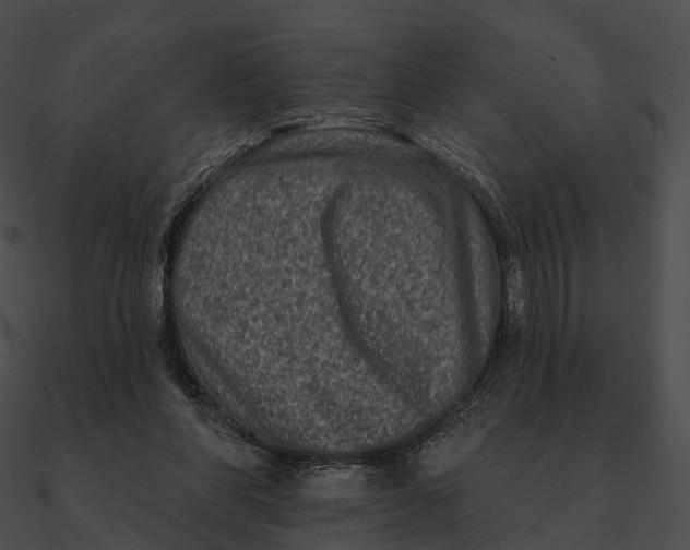 X0000090500206200708031216