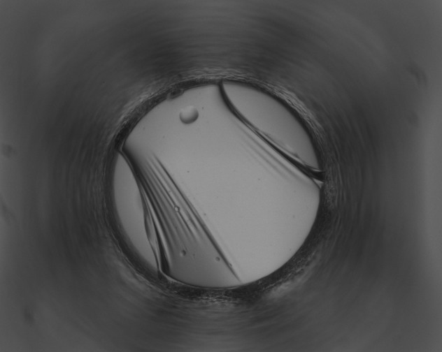 X0000090500207200708031216