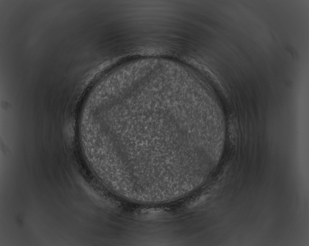 X0000090500208200708031216