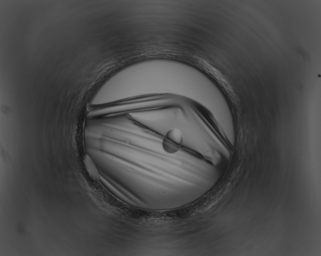 X0000090500209200708031216