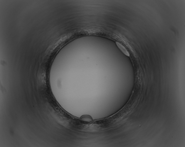 X0000090500212200708031216