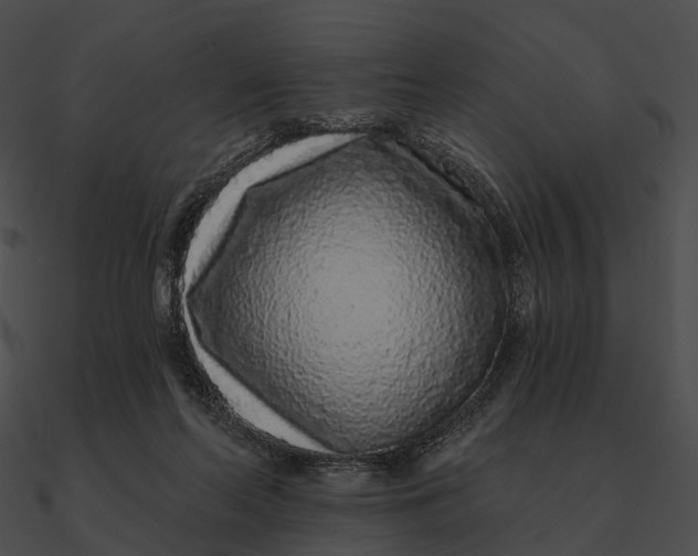 X0000090500214200708031216