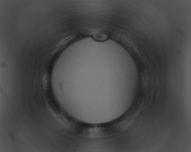 X0000090500216200708031216