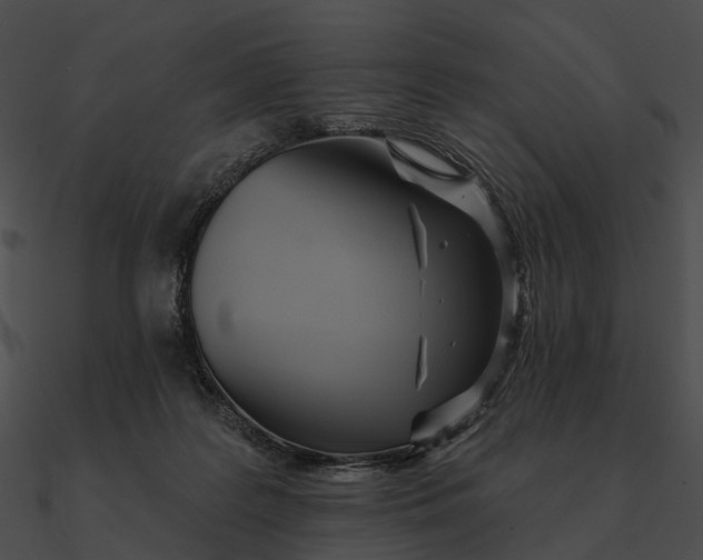 X0000090500219200708031216