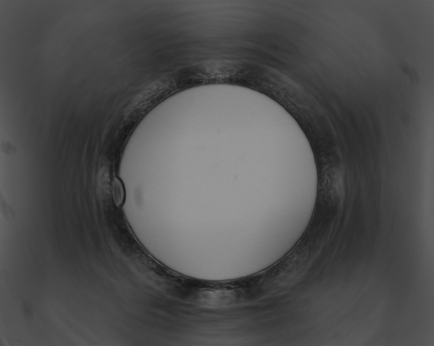 X0000090500220200708031216