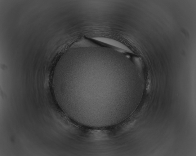 X0000090500221200708031216