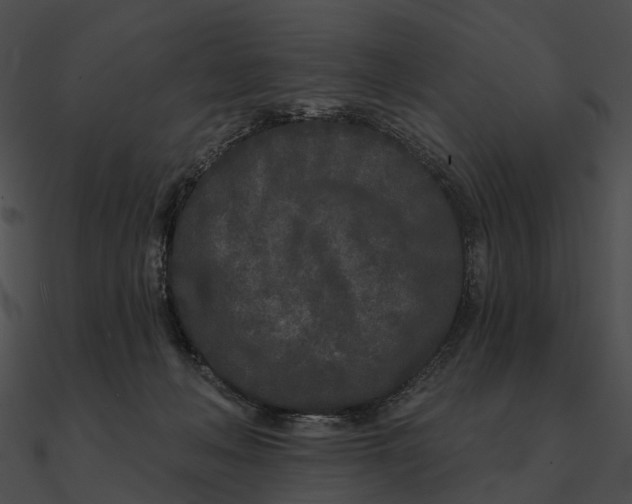 X0000090500222200708031216