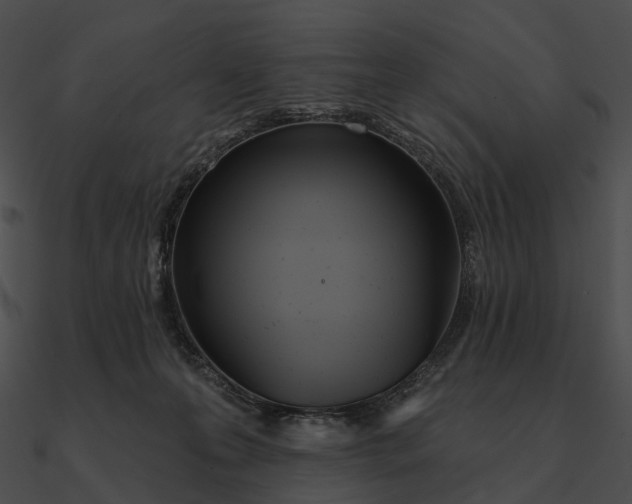 X0000090500223200708031216