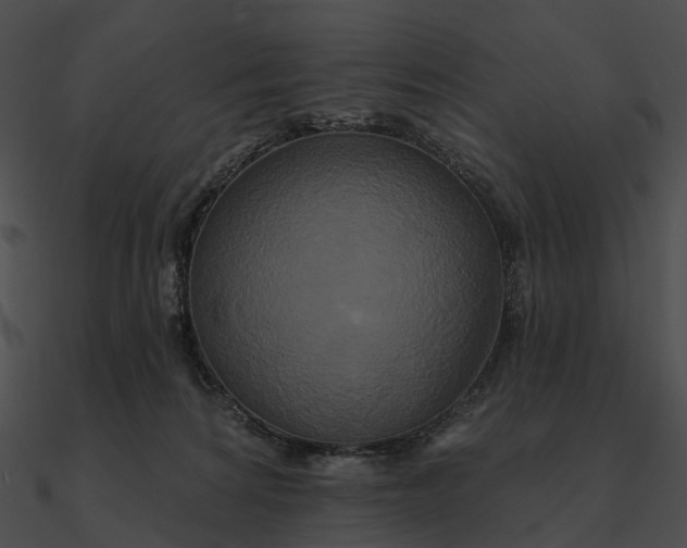 X0000090500224200708031216