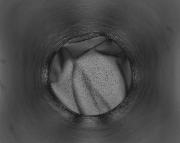 X0000090500226200708031216