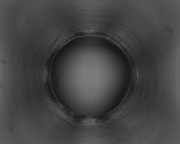 X0000090500227200708031216