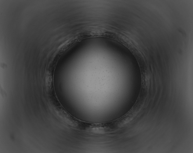 X0000090500228200708031216