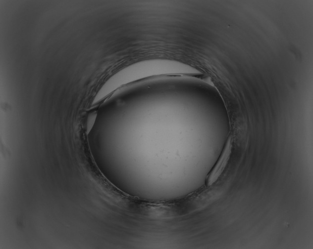 X0000090500229200708031216