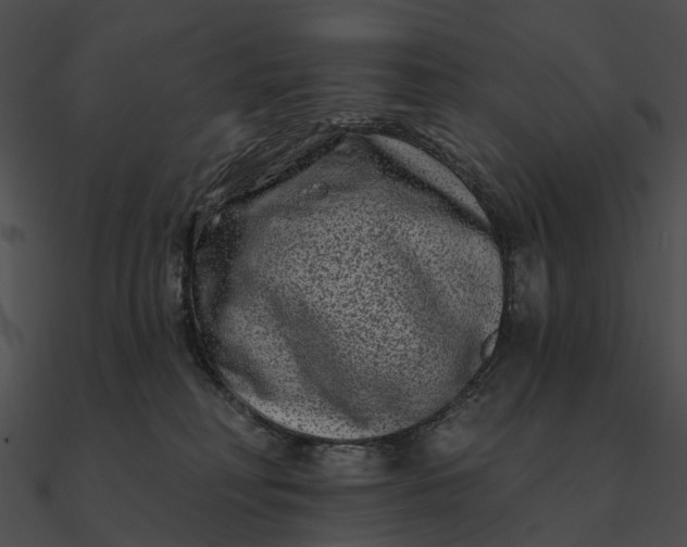 X0000090500230200708031216