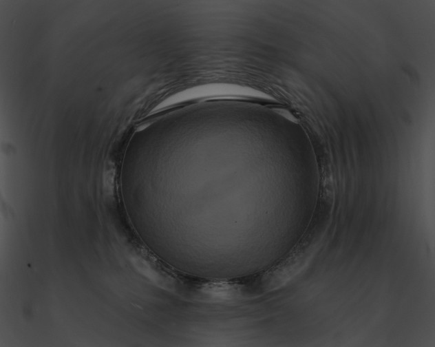 X0000090500231200708031216