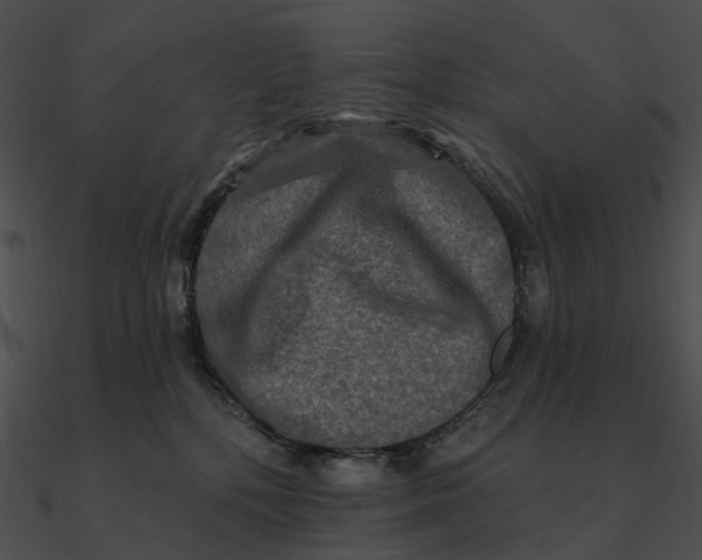 X0000090500232200708031216