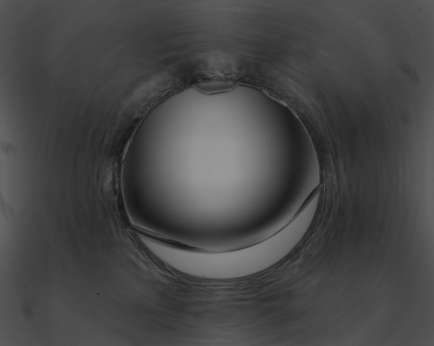 X0000090500233200708031216