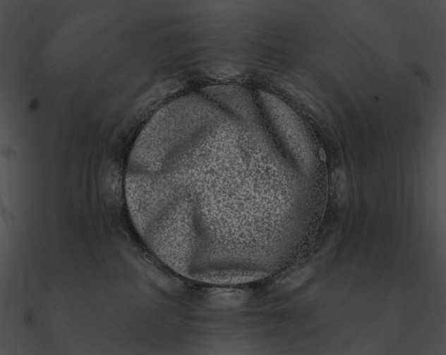 X0000090500234200708031216