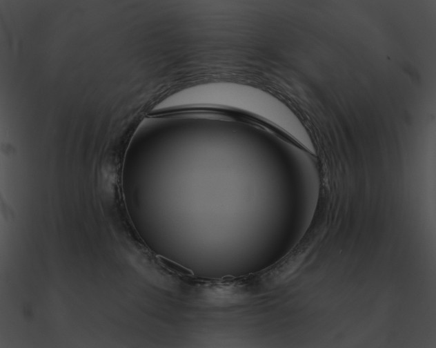 X0000090500235200708031216