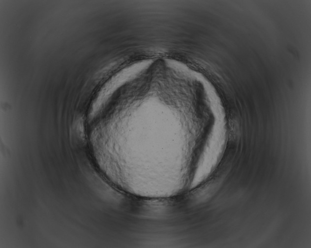 X0000090500238200708031216