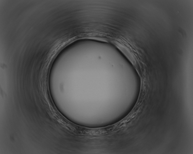 X0000090500241200708031215