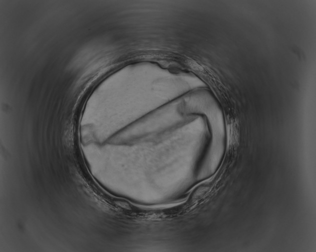 X0000090500243200708031215