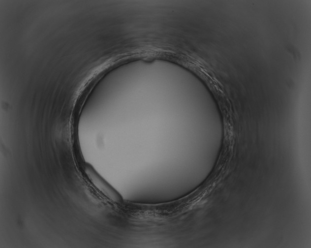 X0000090500244200708031215