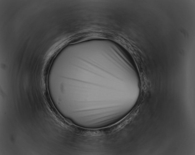 X0000090500245200708031215