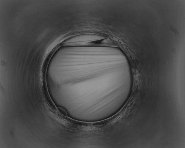 X0000090500246200708031215