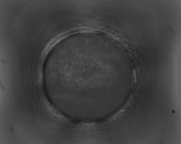 X0000090500247200708031215