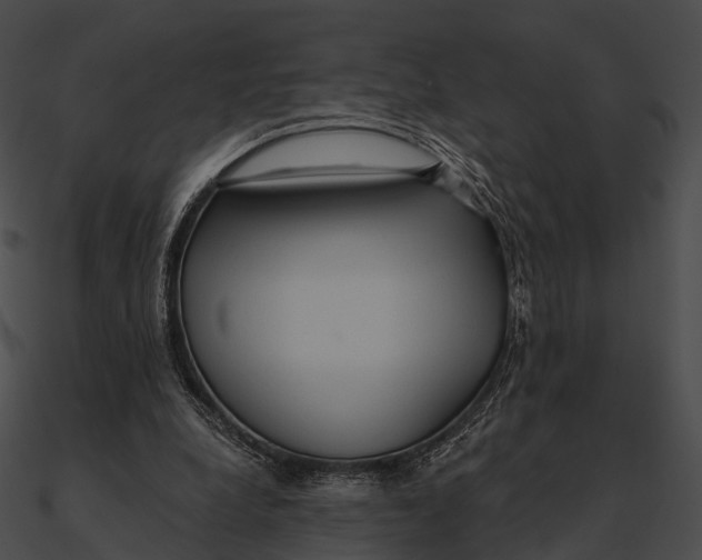 X0000090500248200708031215