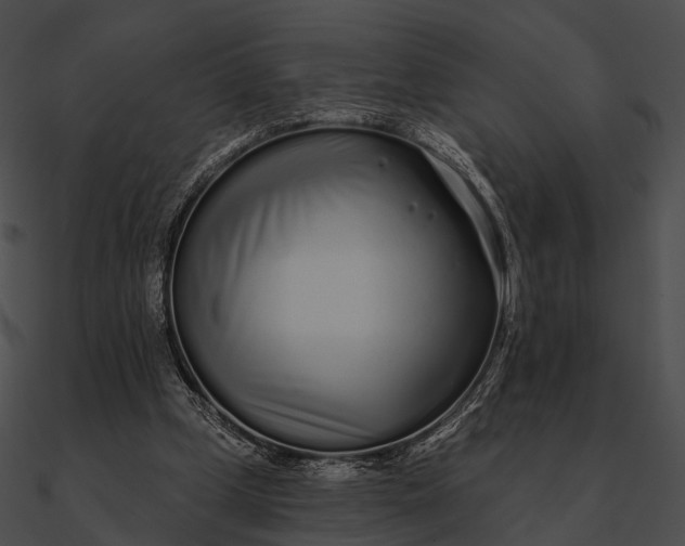 X0000090500249200708031215