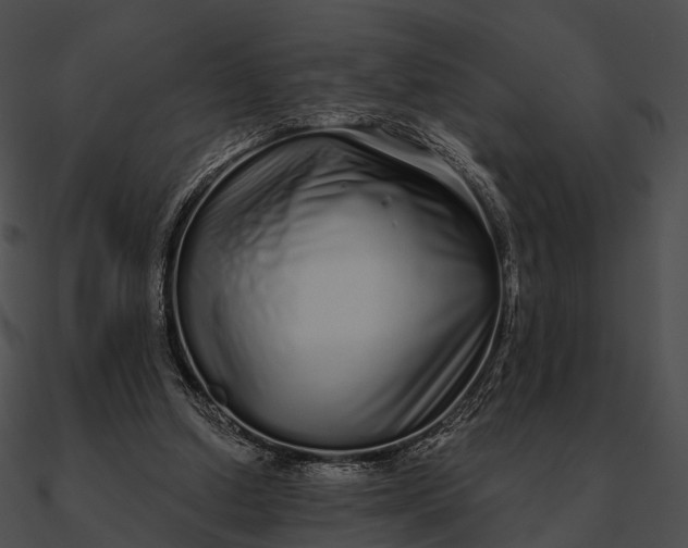 X0000090500250200708031215