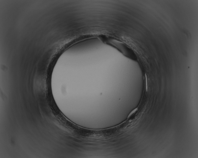 X0000090500252200708031215